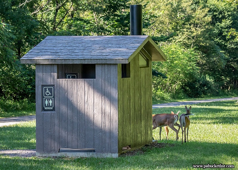 Several deer grazing near the restrooms just south of the Big Savage Tunnel, along the Great Allegheny Passage.