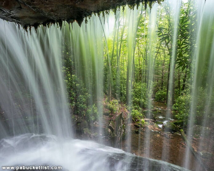 How to Find Round Island Run Falls in the Sproul State Forest