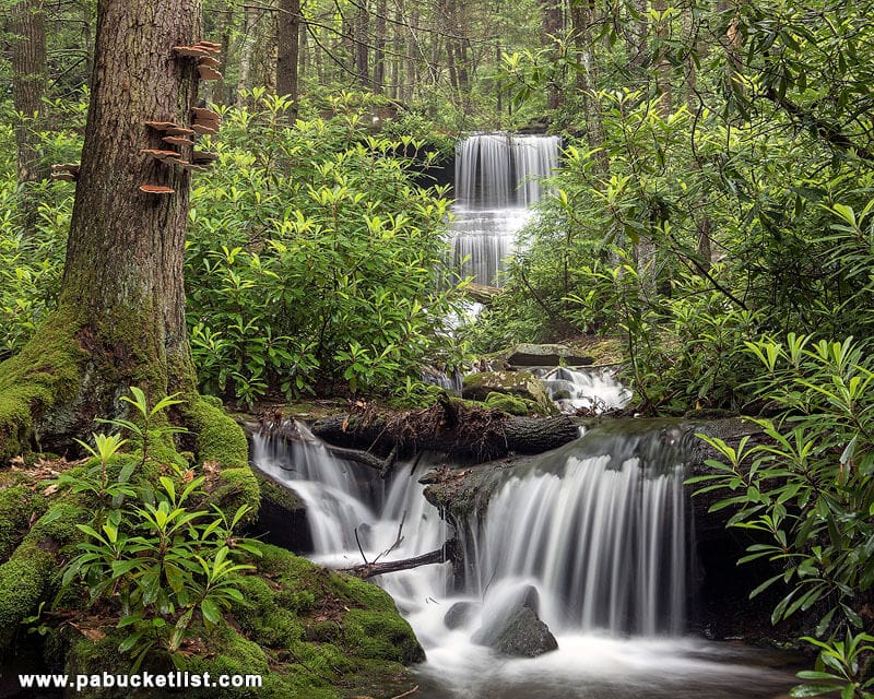 The greenery comes alive at Round Island Run Falls in the summer months.