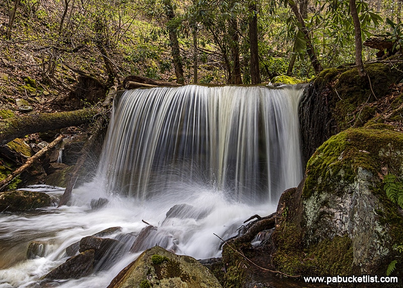 How to Find Table Falls in the Quehanna Wild Area