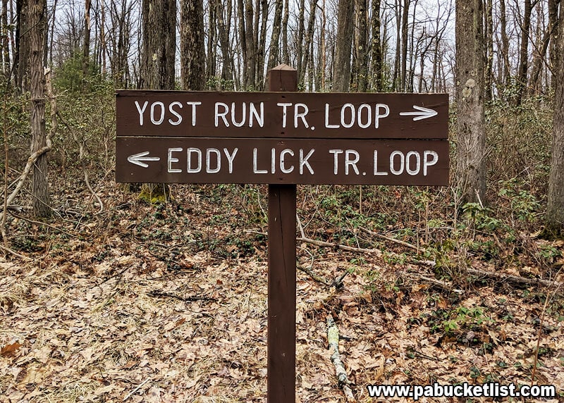 Yost Run Trail sign near the parking area.