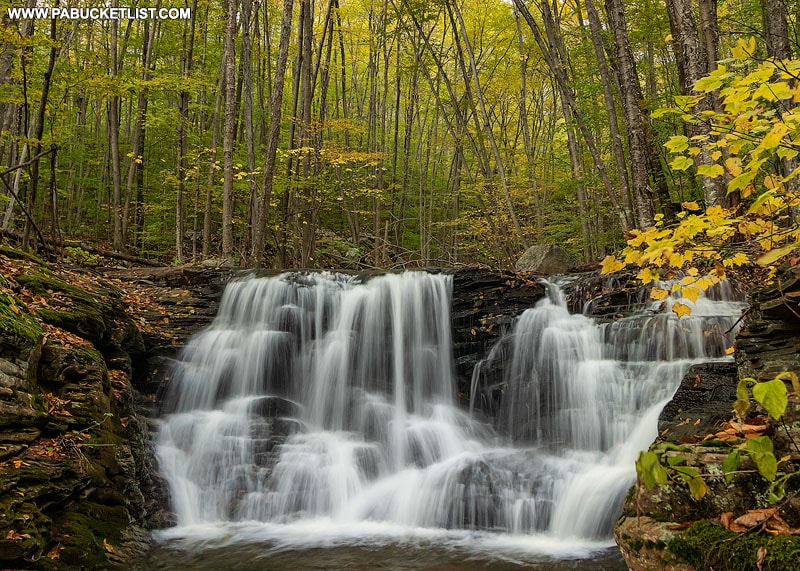 The 5 Best Waterfall Hikes in Lycoming County