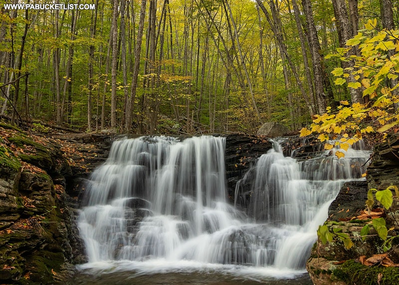 The first waterfall on Miners Run in the Loyalsock State Forest.