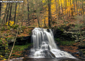 Incredible fall foliage around Dry Run Falls in the Loyalsock State Forest.