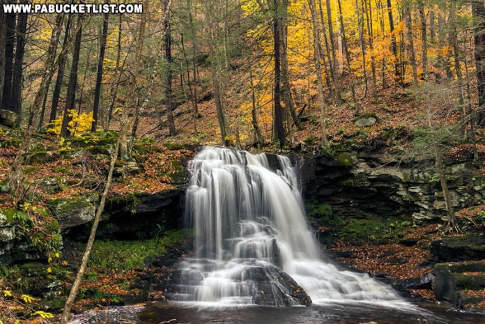 Incredible fall foliage around Dry Run Falls in the Loyalsock State Forest.