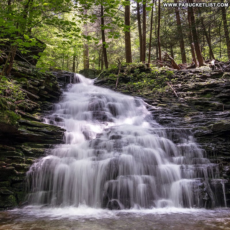 Ketchum Run Falls in the summer.