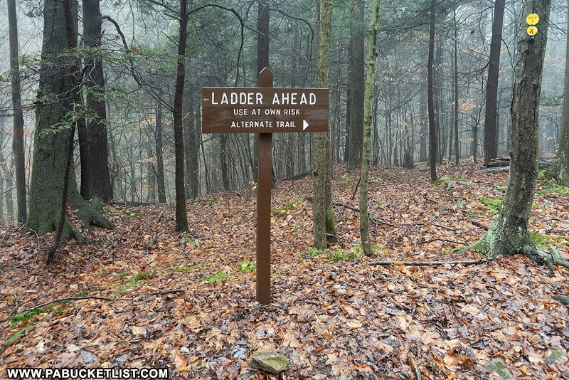Ladder ahead sign along the Loyalsock Trail, upstream from Rode Falls.