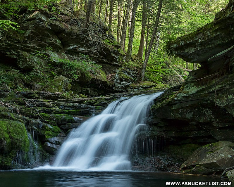 Lower Twin Falls on State Game Lands 13 in Sullivan County in late spring.