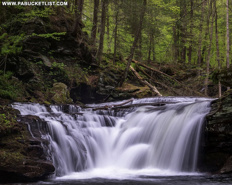 A late summer view of Lower Twin Falls on State Game Lands 13 in Sullivan County, PA.