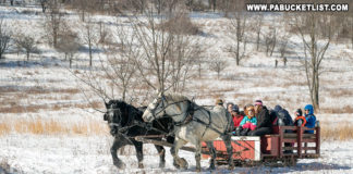 A two-horse open sleigh takes passengers for a ride at Winterfest.