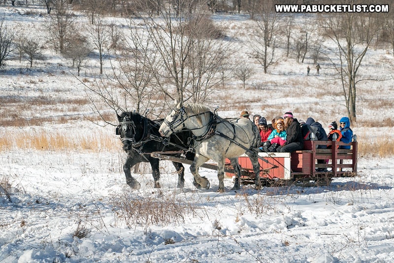A two-horse open sleigh takes passengers for a ride at Winterfest.