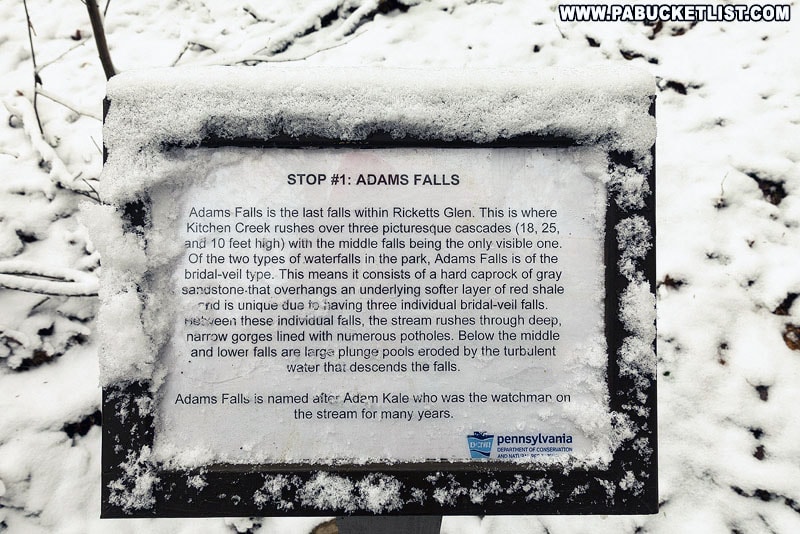 Adams Falls informational sign at Ricketts Glen State Park.