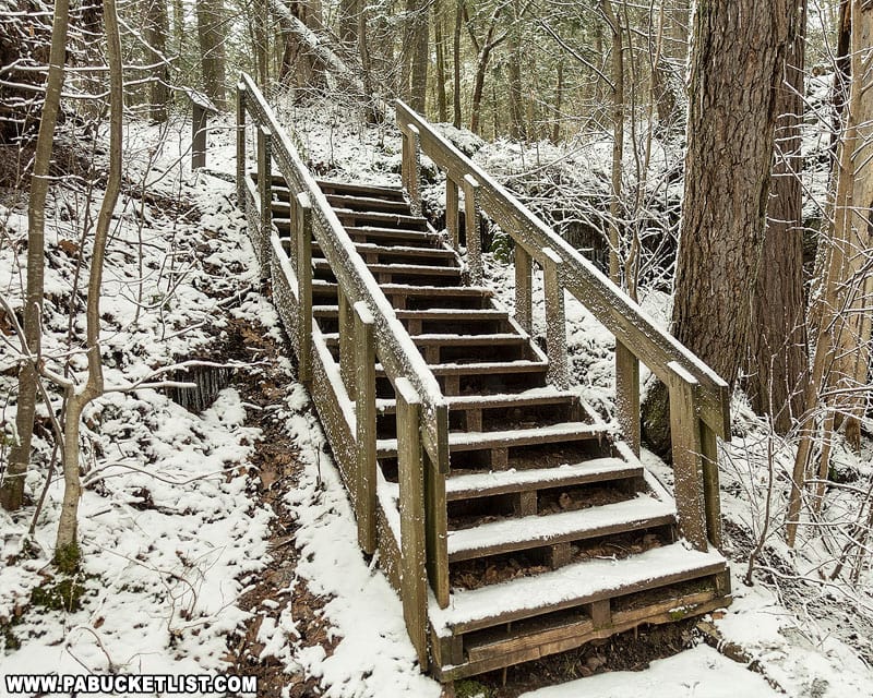 Stairway along the trail to Adams Falls.