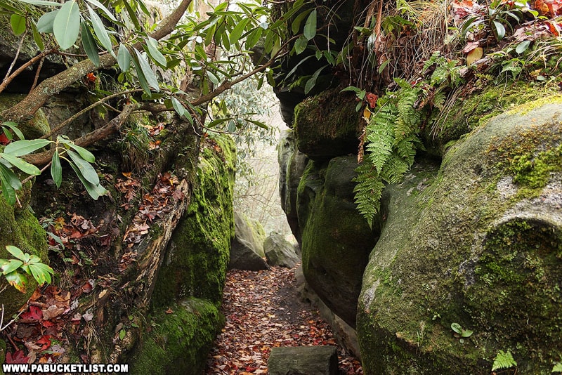 A crevice between rock formations at Beam Rocks.