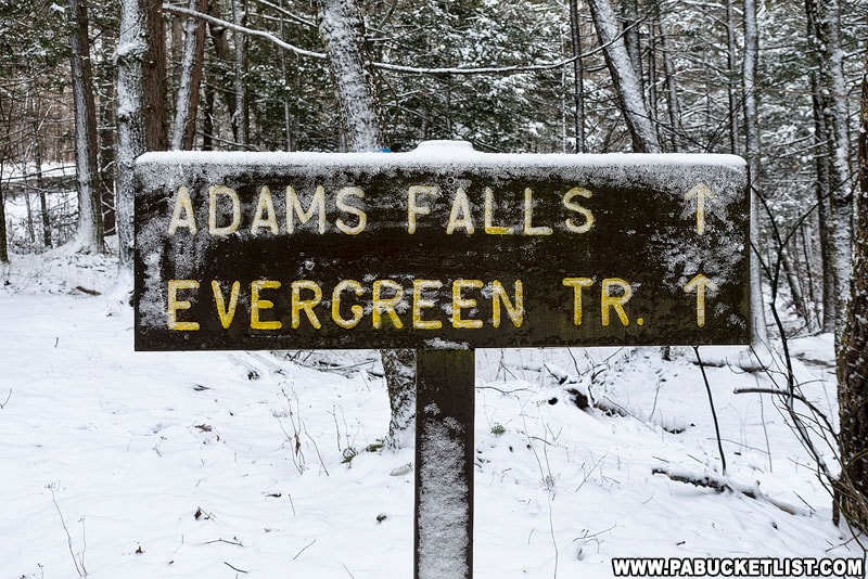 Evergreen Trail sign at Ricketts Glen State Park.
