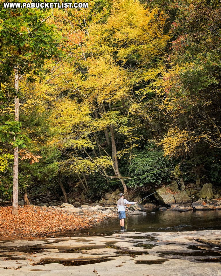 20 of the Best Things to Do at Ohiopyle State Park PA Bucket List