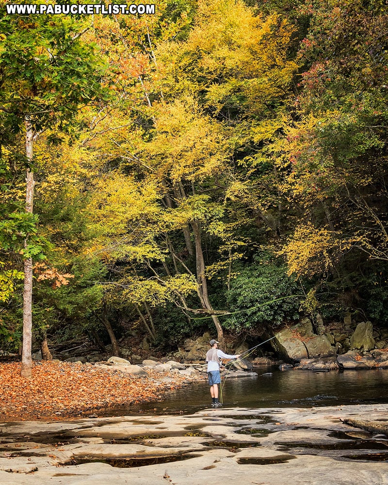 Fly fisherman at Flat Rock along the Meadow Run Trail.