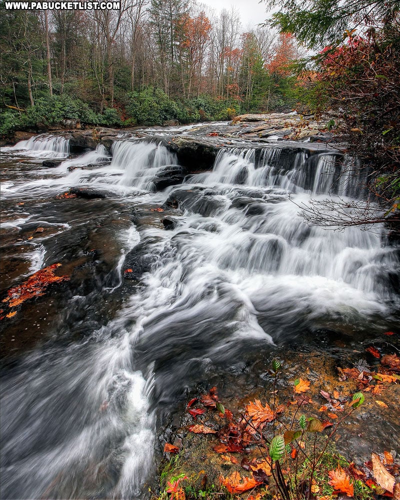 Fall foliage along the Meadow Run Trail at Ohiopyle State Park.