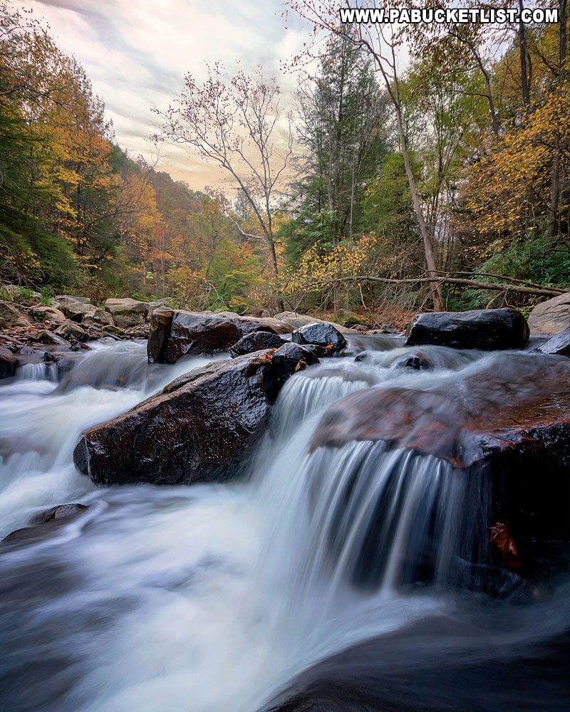 An autumn view of Meadow Run at Ohiopyle State Park.