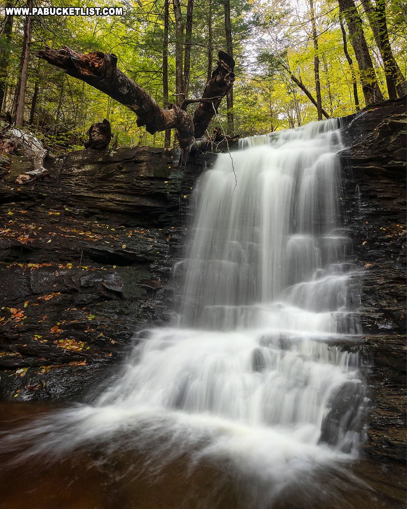 Fall foliage at an unnamed waterfall on Pigeon Run in Sullivan County.