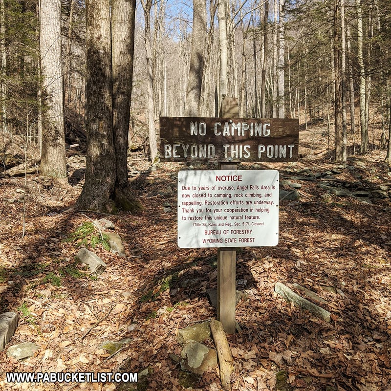 No Camping sign along the trail to Angel Falls and Gipson Falls in the Loyalsock State Forest.