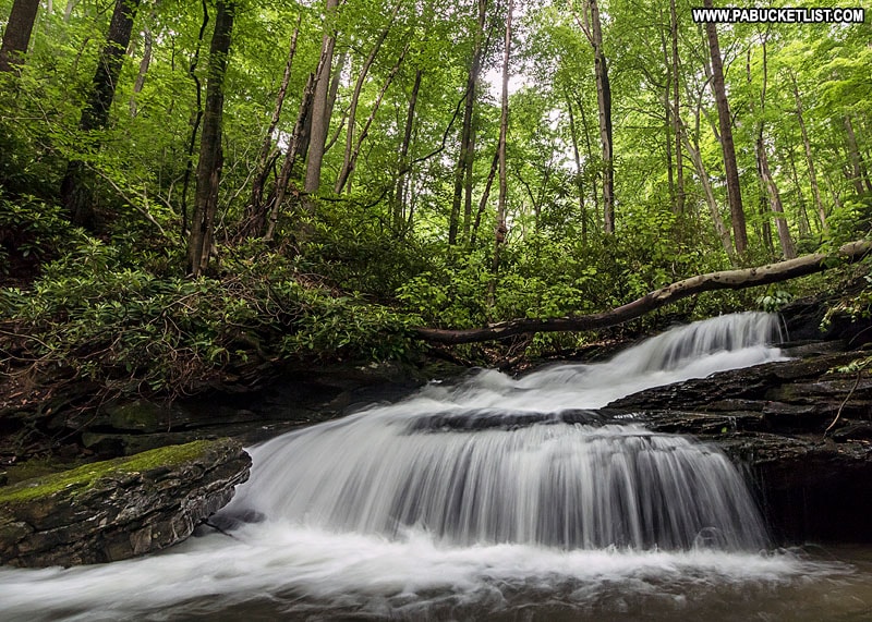 Bruner Run Falls at Ohiopyle State Park.