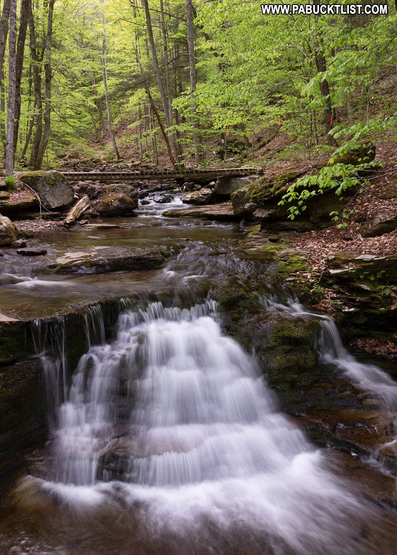 The 22 Best Things to Do at Worlds End State Park