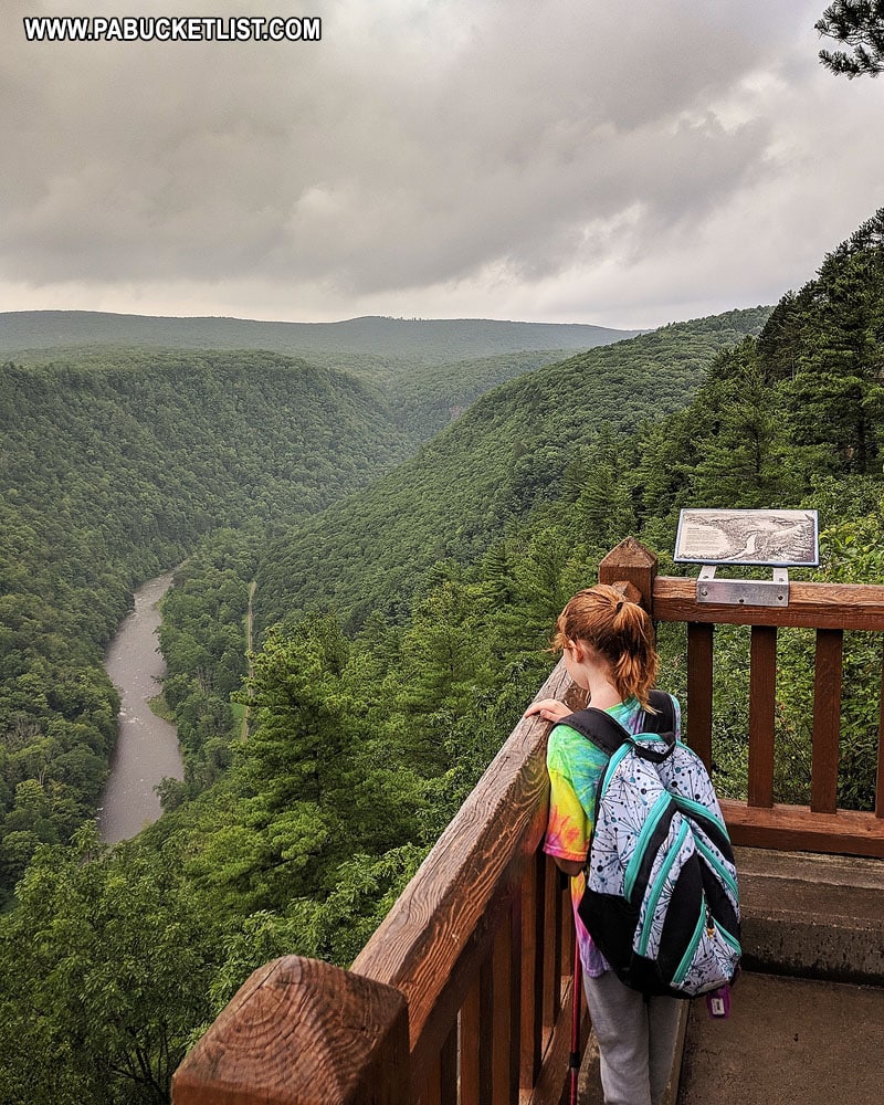 An observation area on the eastern rim of the PA Grand Canyon at Leonard Harrison State Park.