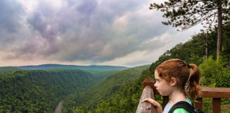 Looking out over the Pine Creek Gorge at Leonard Harrison State Park.