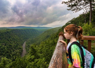 Looking out over the Pine Creek Gorge at Leonard Harrison State Park.