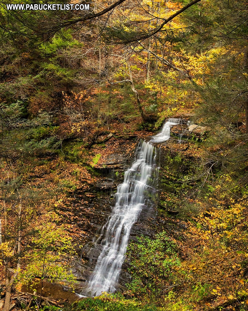 Fall foliage around the tallest waterfalls along the Turkey Path.