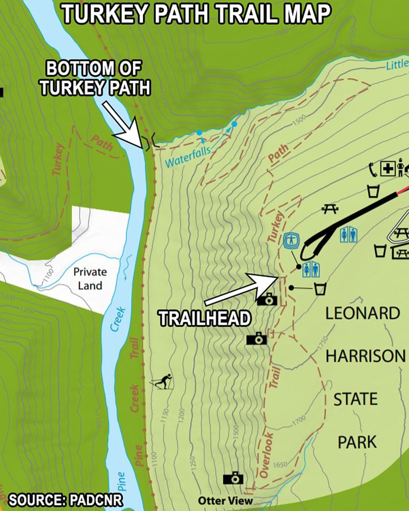 A map of the Turkey Path Trail at Leonard Harrison State Park.