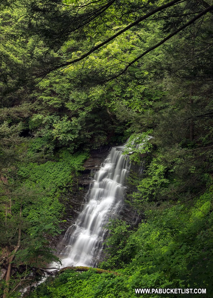 The tallest waterfall along the Turkey Path in Tioga County.