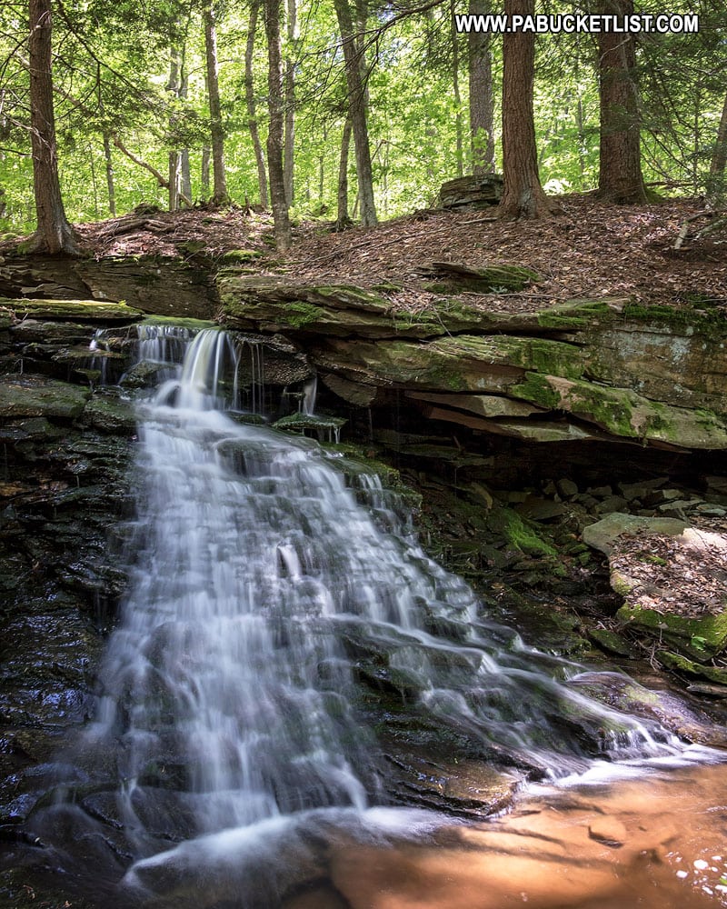 Upper Mineral Spring Falls in the Loyalsock State Forest Sullivan County
