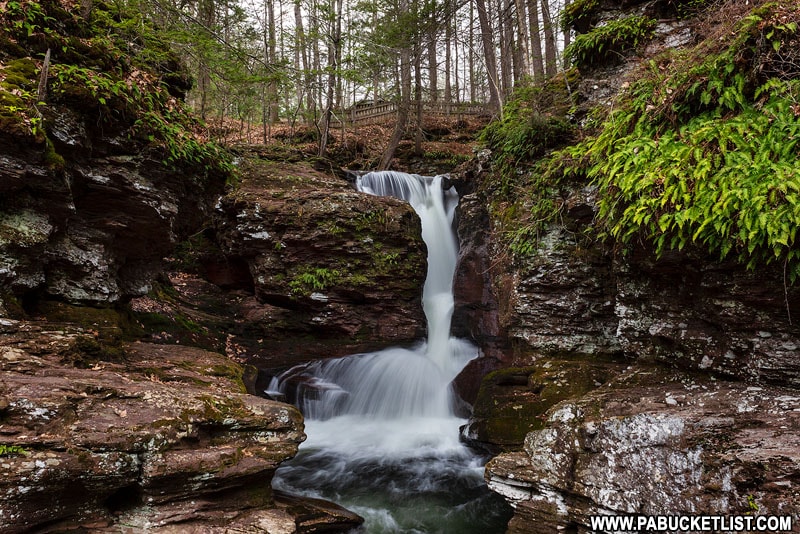 Adams Falls at Ricketts Glen State Park in Pennsylvania