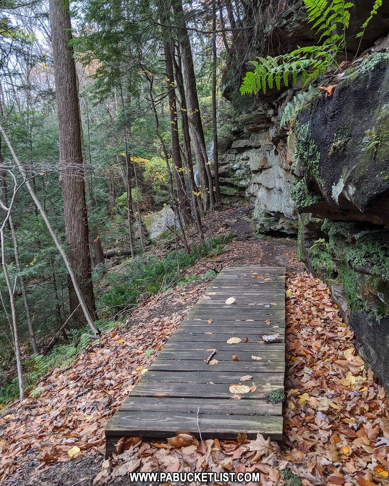 Bridge on the Alpha Falls Trail at McConnells Mill State Park
