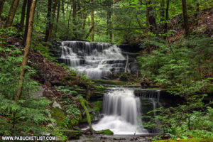Waterfalls along Bear Run in the Tioga State Forest near Colton Point State Park