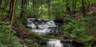 Waterfalls along Bear Run in the Tioga State Forest near Colton Point State Park