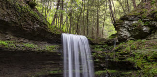 Campbells Run Falls in the Pine Creek Gorge Tioga County Pennsylvania