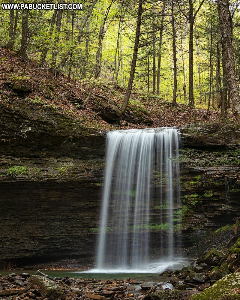 Campbells Run Falls near Tiadaghton Pennsylvania