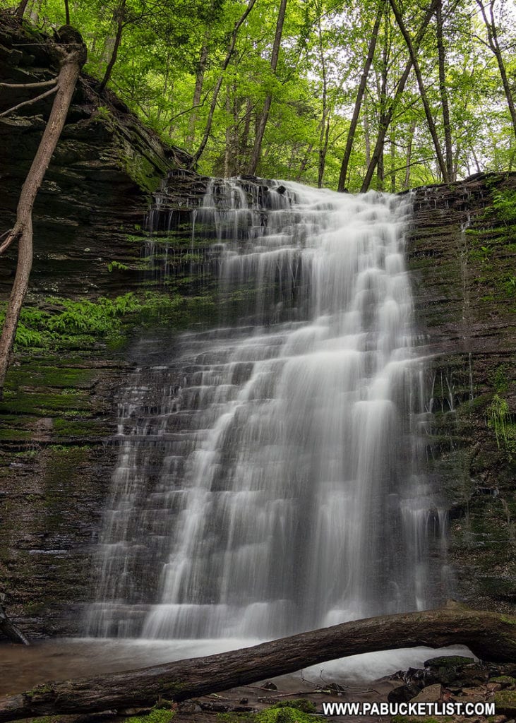 Waterfall on an unnamed tributary of Campbells Run in Tiadaghton PA