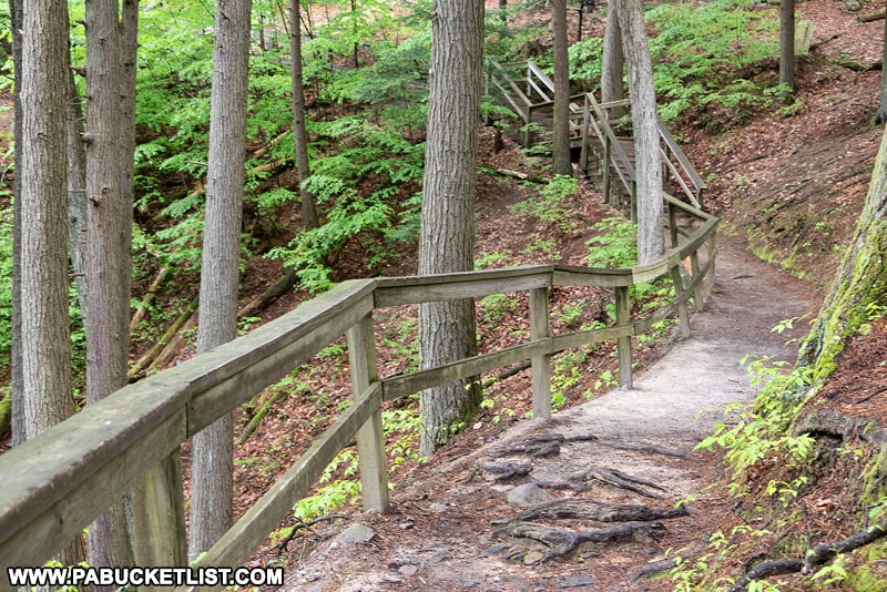 The Childs Park Trail in Pike County Pennsylvania