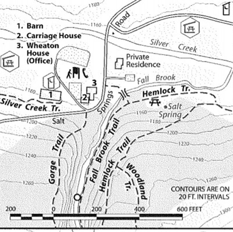 A map of the trails at Salt Springs State Park.
