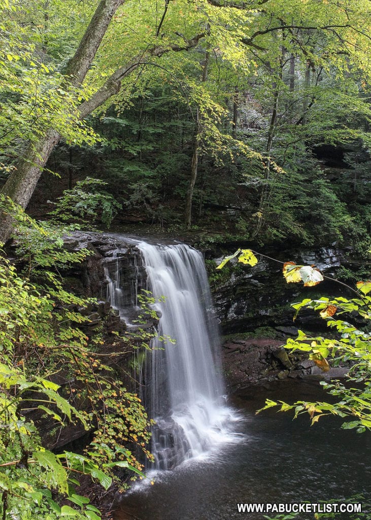 Harrison Wright Falls at Ricketts Glen State Park.