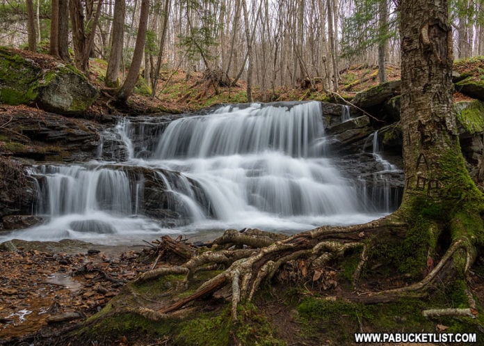 Logan Falls in the Allegheny National Forest in Pennsylvania