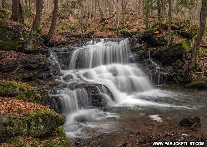 Logan Falls in Forest County Pennsylvania