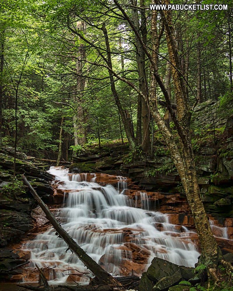 McElhattan Falls in Clinton County Pennsylvania