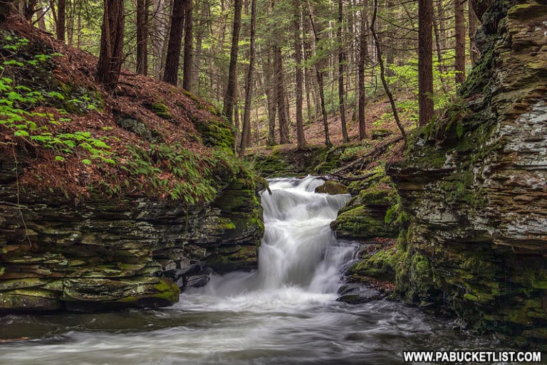 Exploring Mine Hole Run Falls in Tioga County