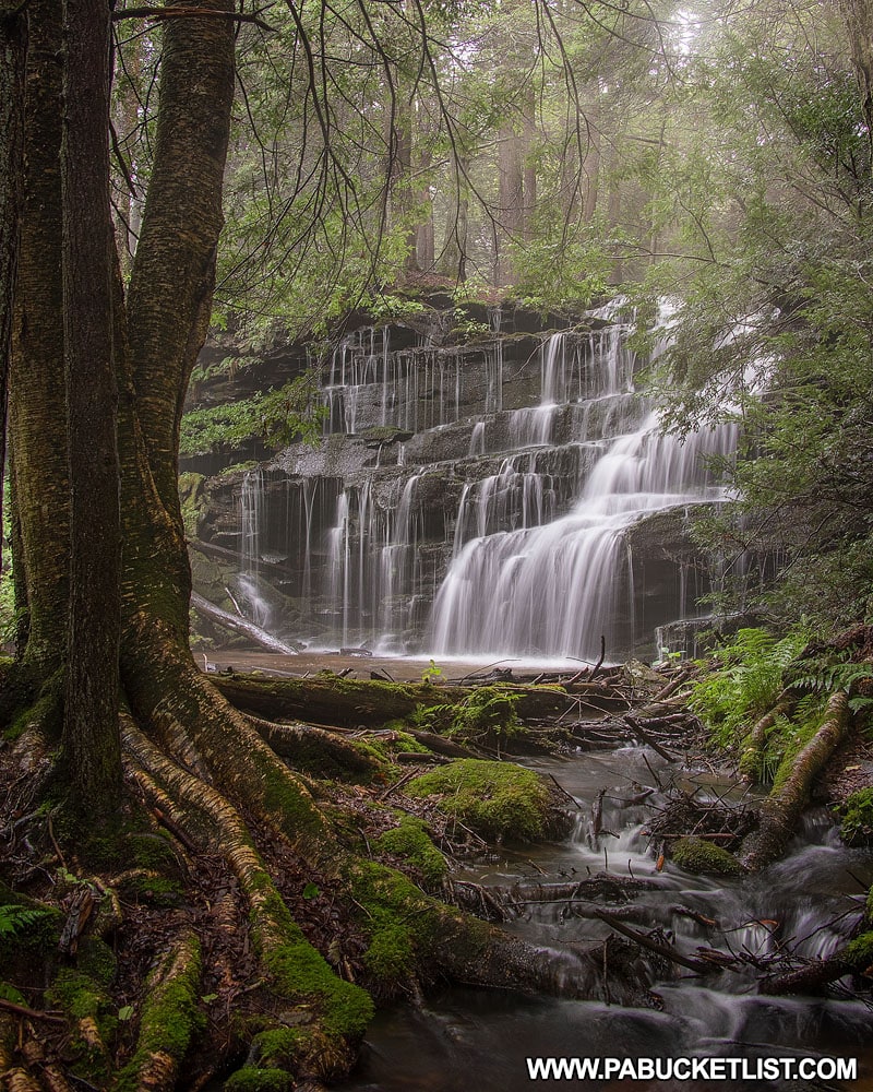 Rosecrans Falls in Clinton County Pennsylvania on a foggy summer morning.