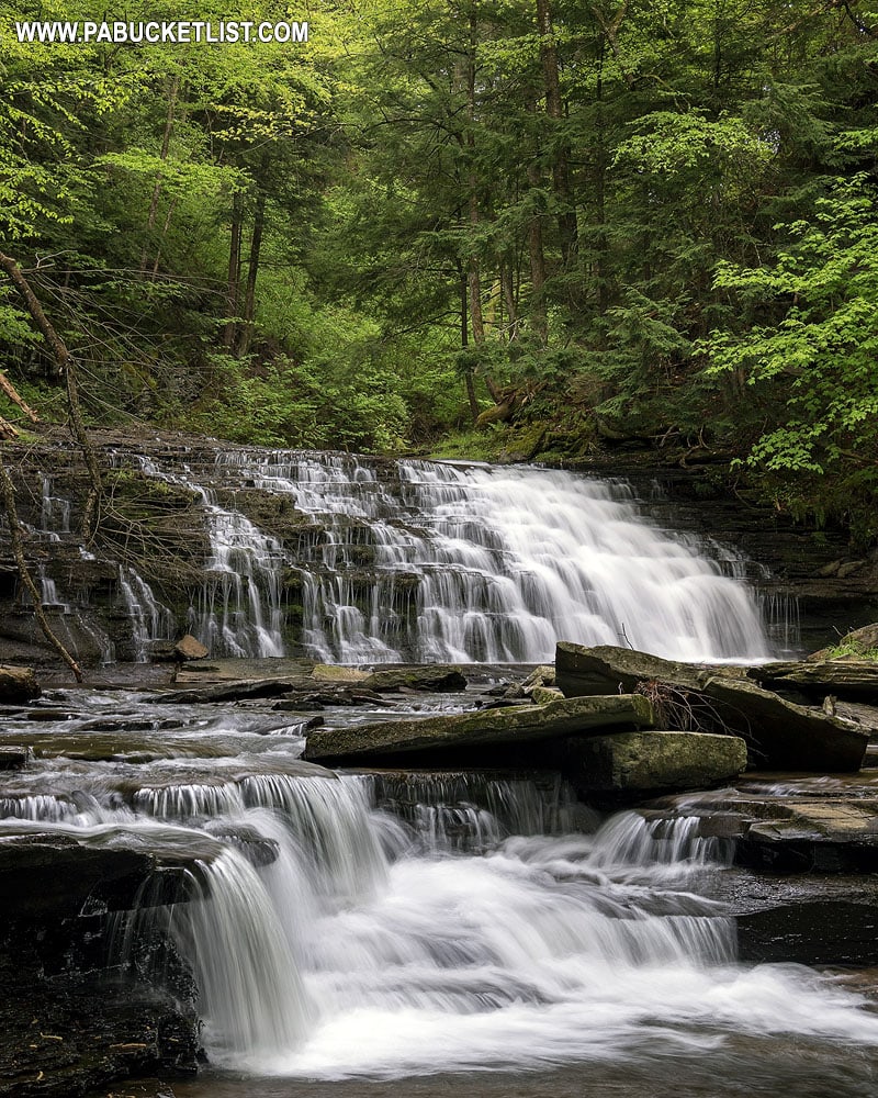 The first waterfall on Fall Brook at Salt Springs State Park